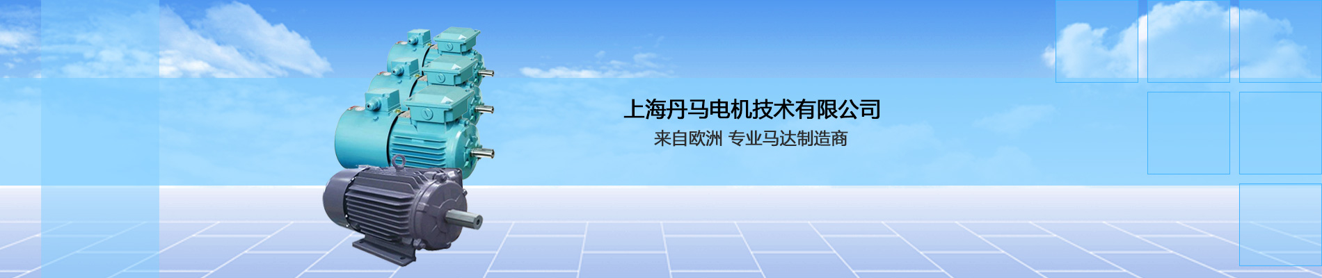 专业马达制造商_上海丹马电机技术有限公司